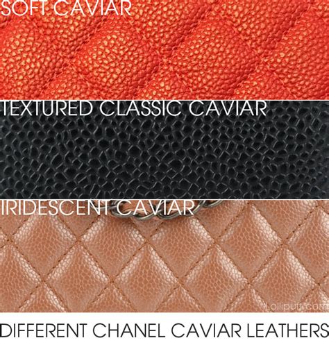 Chanel Caviar Leather Guide .